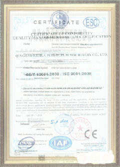 东坡荣誉证书